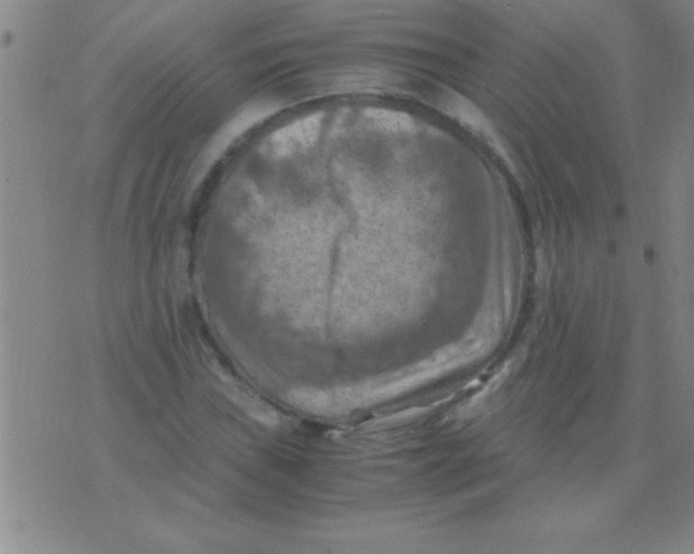 X0000075821019200610061751