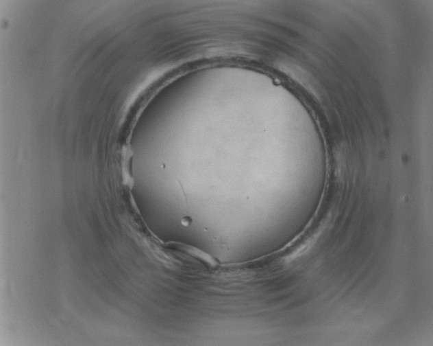 X0000075821021200610061751