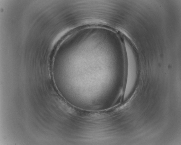 X0000075821022200610061751