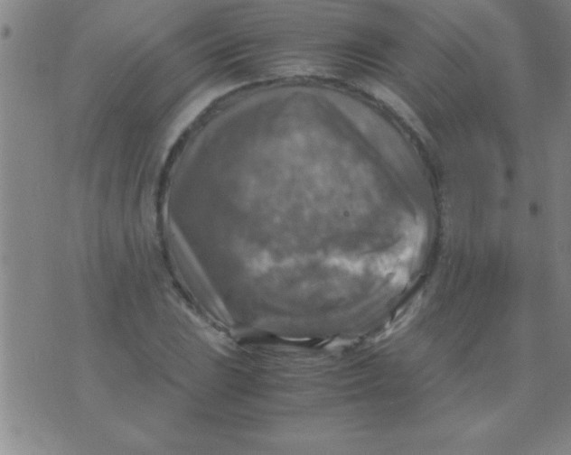 X0000075821023200610061751