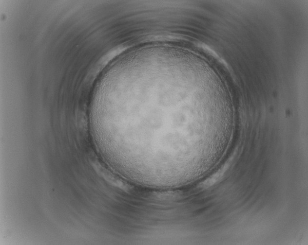 X0000075821025200610061751