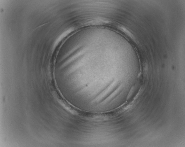 X0000075821026200610061751