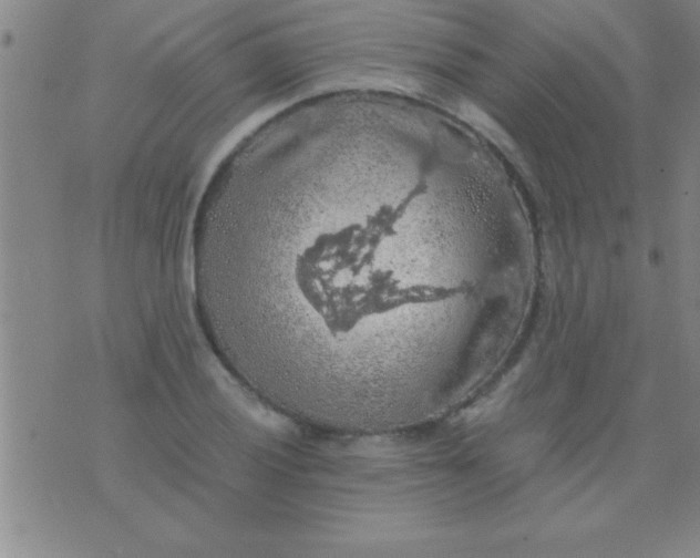 X0000075821028200610061751