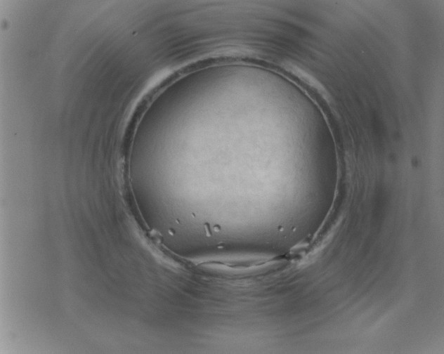 X0000075821029200610061751