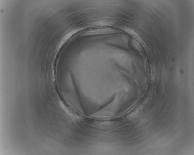 X0000075821031200610061752