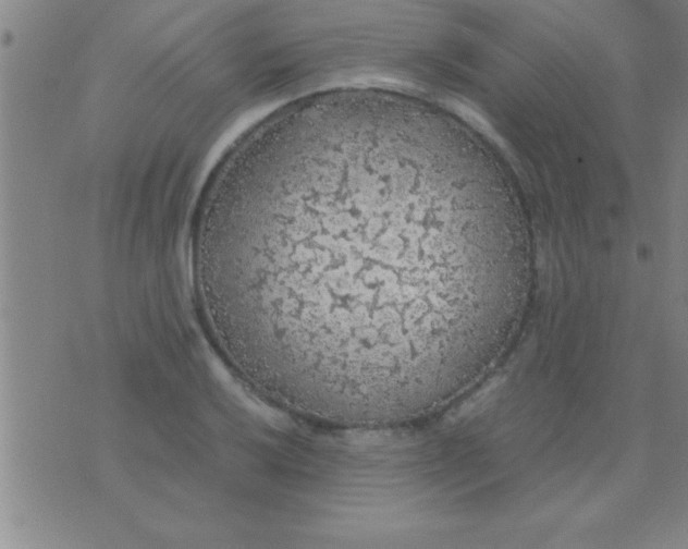 X0000075821032200610061752