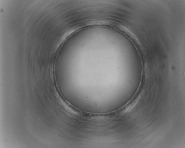 X0000075821033200610061752