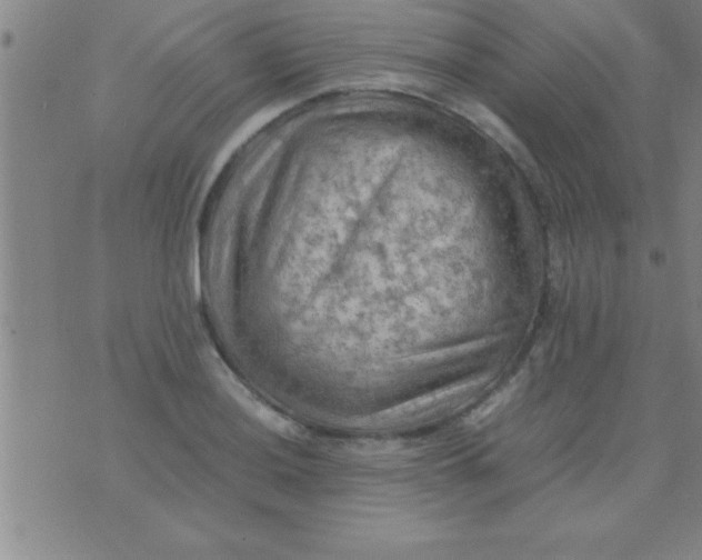 X0000075821036200610061752