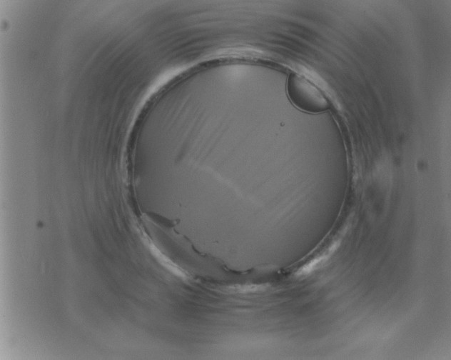 X0000075821037200610061752