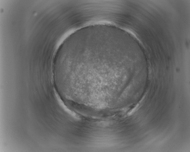 X0000075821038200610061752