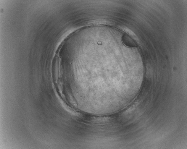 X0000075821039200610061752