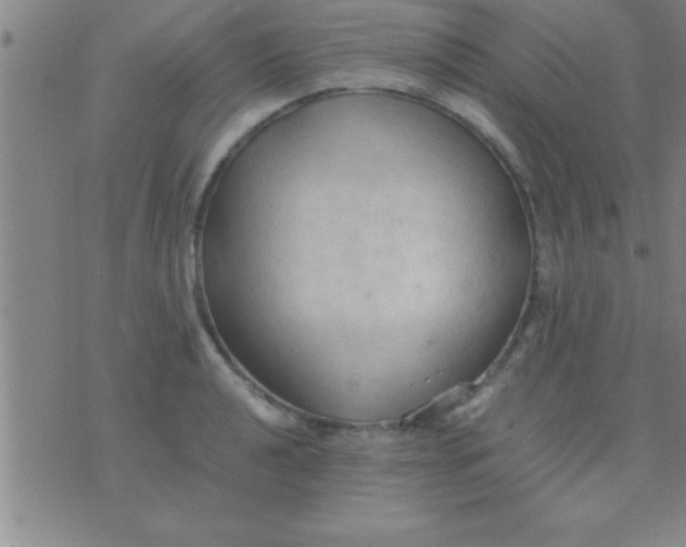 X0000075821040200610061752