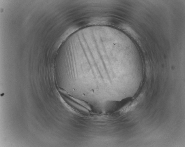 X0000075821041200610061752