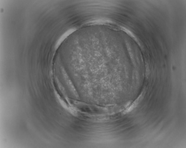 X0000075821042200610061752