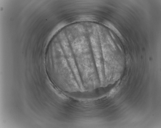 X0000075821043200610061752