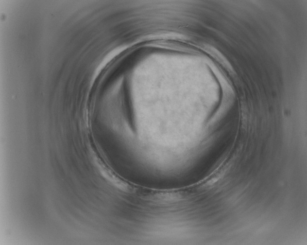 X0000075821044200610061752