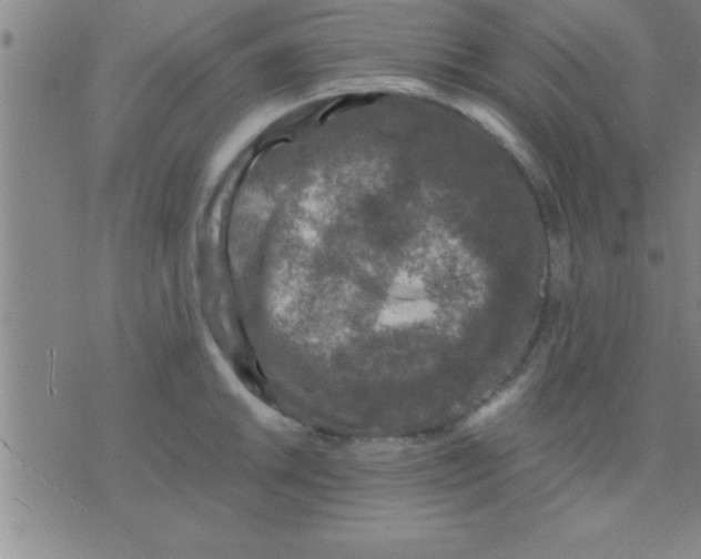 X0000075821046200610061752