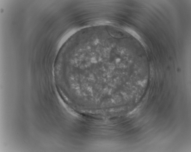 X0000075821047200610061752