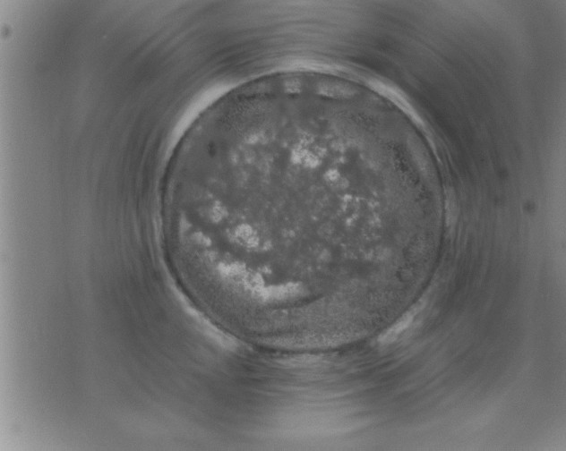 X0000075821048200610061752