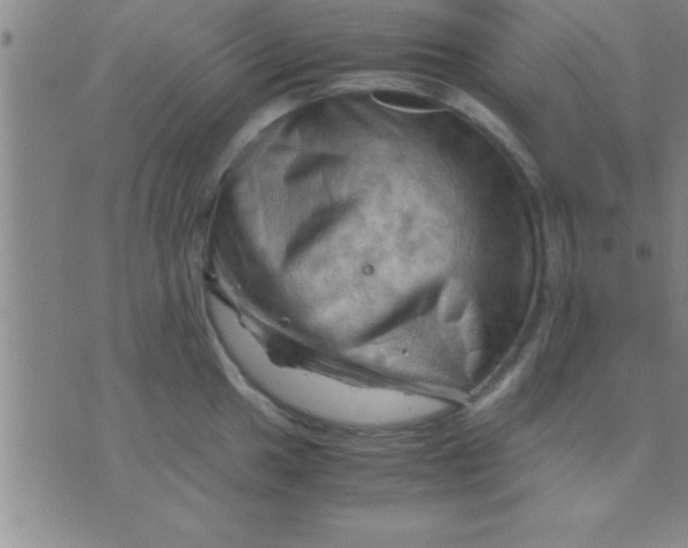 X0000075821049200610061752