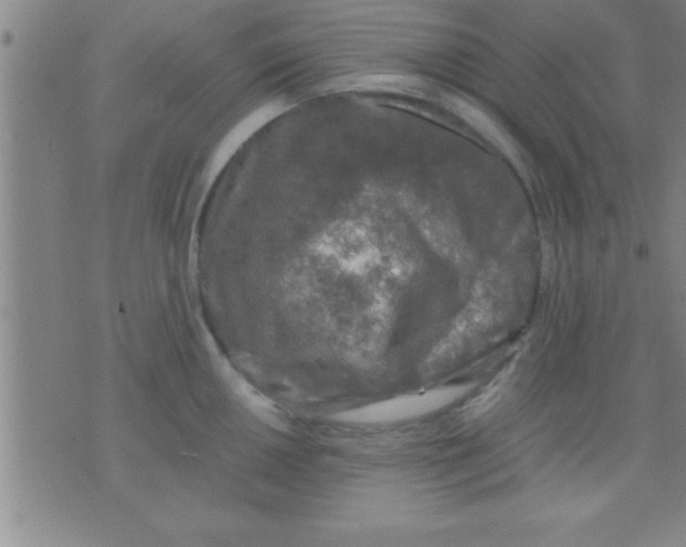 X0000075821050200610061752