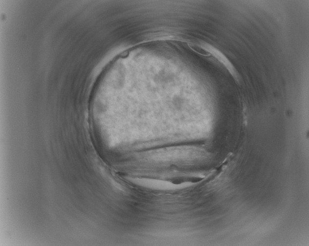 X0000075821051200610061752