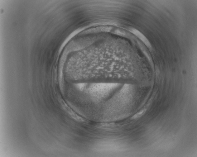 X0000075821052200610061752