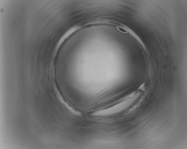 X0000075821053200610061752