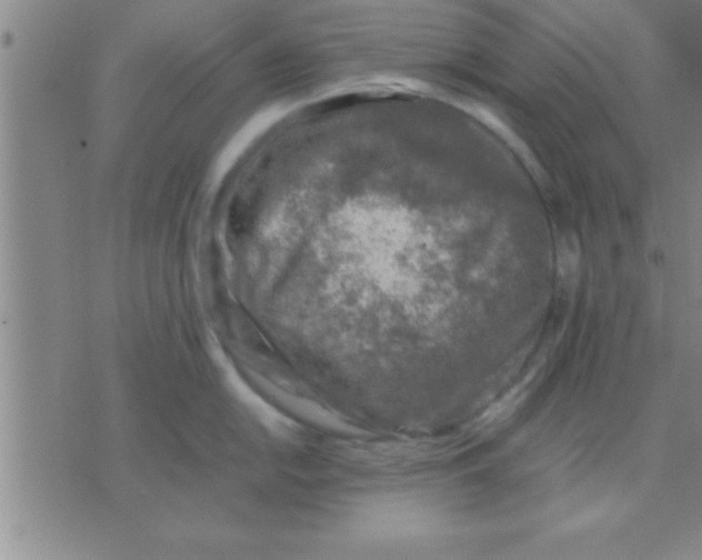 X0000075821054200610061752