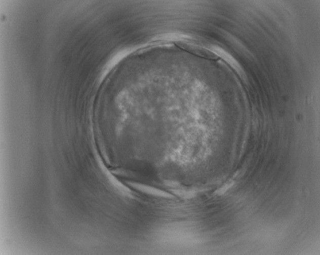 X0000075821055200610061752