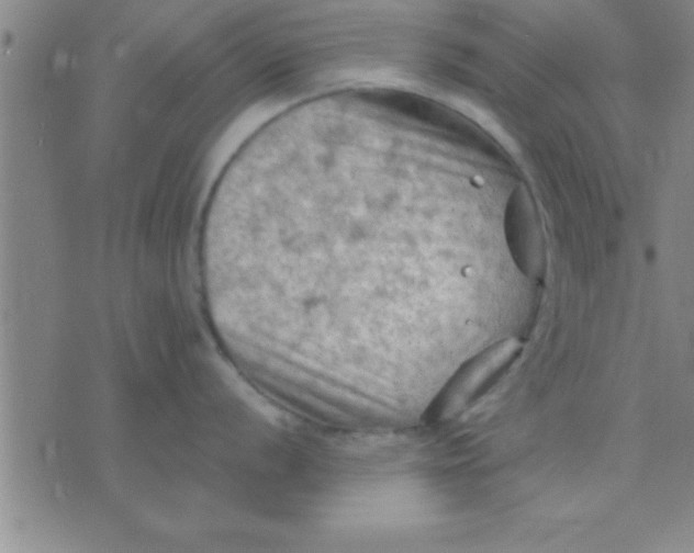 X0000075821056200610061752