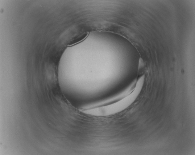 X0000075821058200610061751