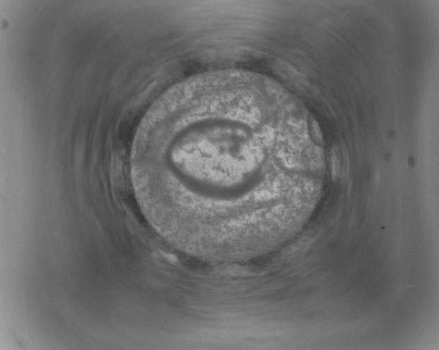 X0000075821059200610061751