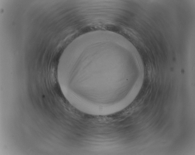 X0000075821060200610061751