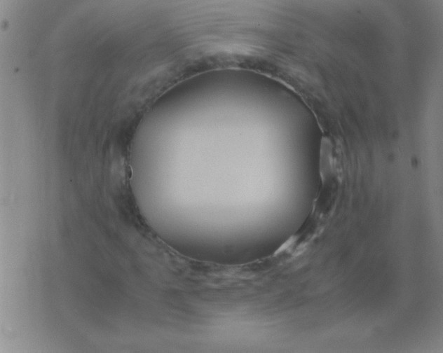 X0000075821061200610061751