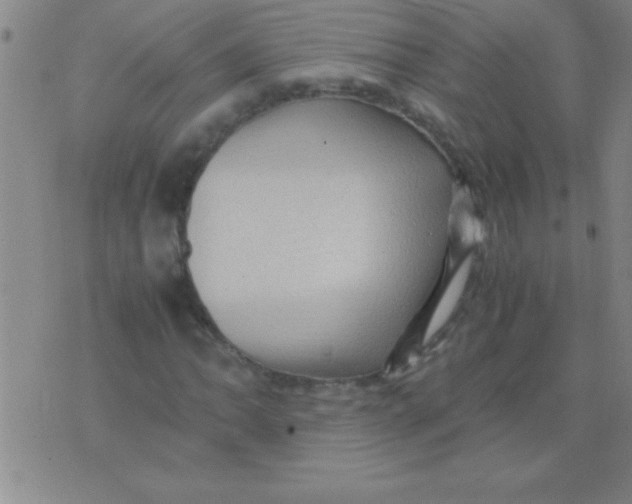 X0000075821062200610061751