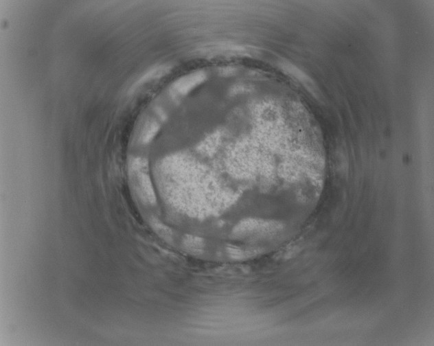 X0000075821063200610061751