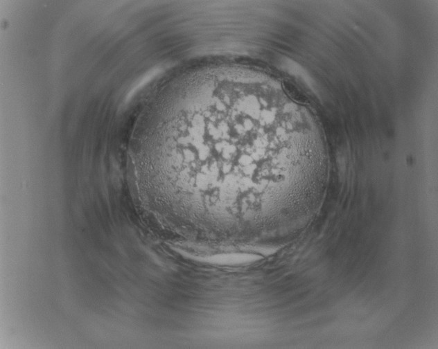 X0000075821064200610061751