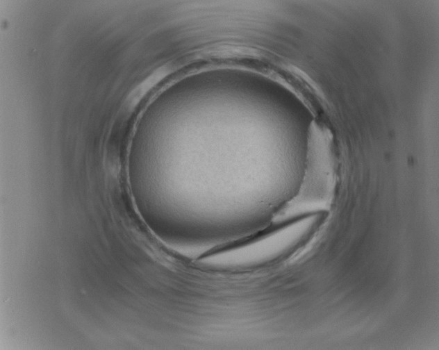 X0000075821065200610061751