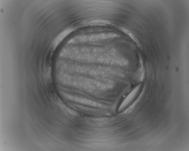 X0000075821066200610061751