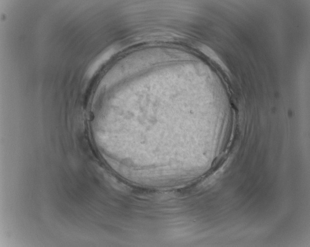 X0000075821067200610061751