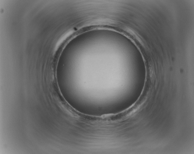 X0000075821069200610061751