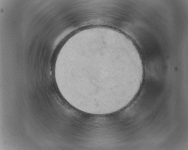 X0000075821070200610061751