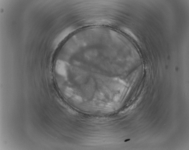 X0000075821071200610061751