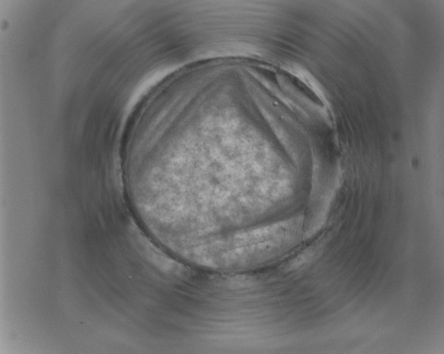 X0000075821072200610061751