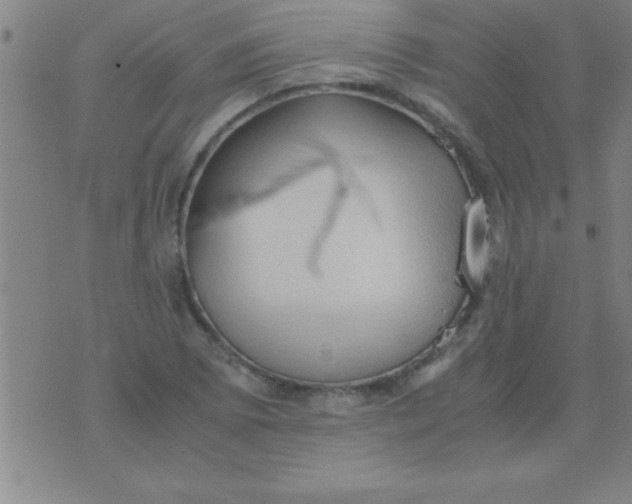 X0000075821073200610061751