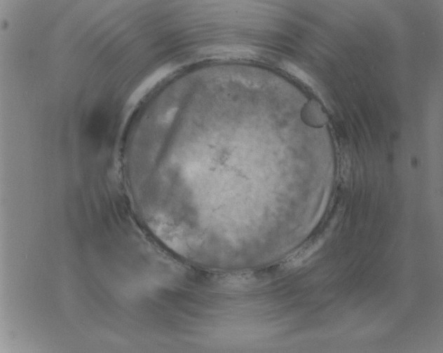 X0000075821074200610061751