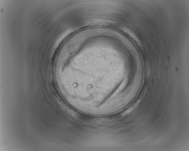 X0000075821075200610061751