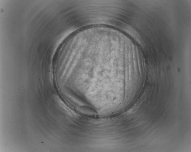 X0000075821076200610061751