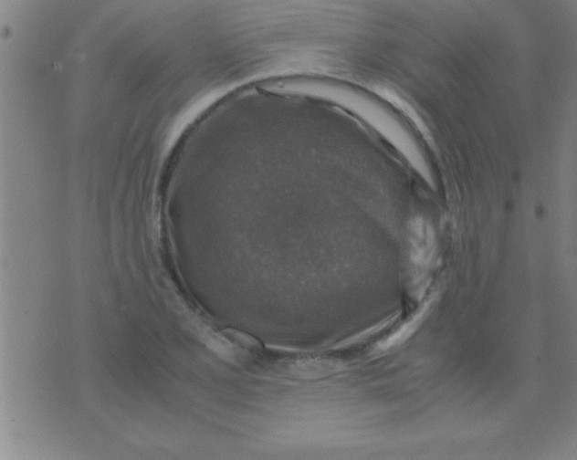 X0000075821077200610061751